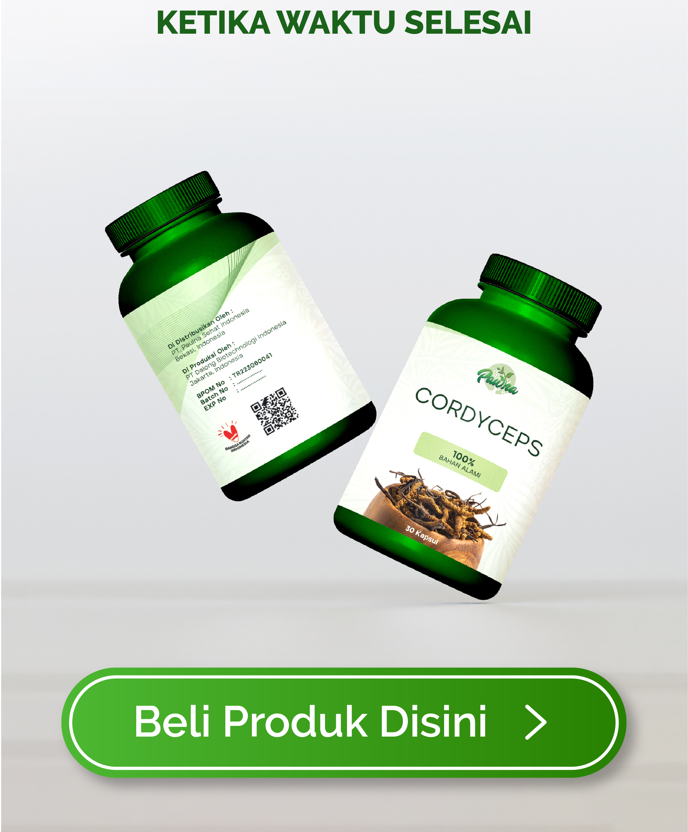 cordyceps terbaik